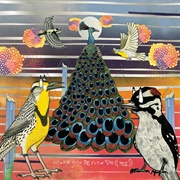 Fly or Die Fly or Die Fly or Die (World War) (Jaimie Branch, 2023)