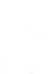 Simple Wishes (2009)