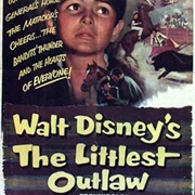 The Littlest Outlaw