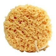 Sponge