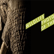 Wildlife Photographer of the Year Exhibitions, Natural History Museum, London