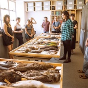 The Moore Lab of Zoology