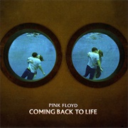 Pink Floyd - Coming Back to Life