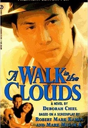 A Walk in the Clouds (Deborah Chiel)