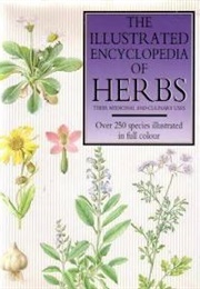 The Illustrated Encyclopedia of Herbs (Sarah Bunney)