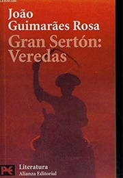 The Devil to Pay in the Backlands (Joao Guimaraes Rosa)