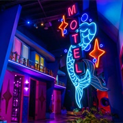 Fairgrounds St. Pete