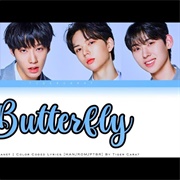 BOYS PLANET K & G GROUP Butterfly