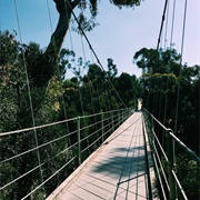 Spruce Street Suspension Bridge