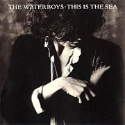 This Is the Sea - The Waterboys