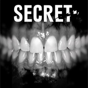 Secret, Vol. 1: Never Get Caught
