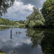 Karpendonkse Plas