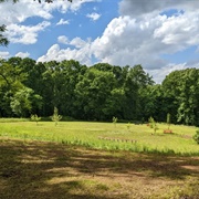 Atlanta Black Crackers Practice Field