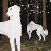 Sam De Nef - Dawn Dusk