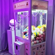 Won on an Arcade Claw Machine