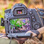 Learn How Use Reflex Camera