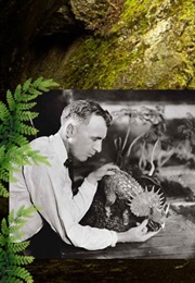 R.F.D. 10,000 B.C.: A Mannikin Comedy (1917)