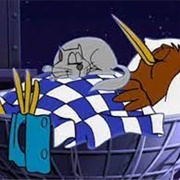 Goodnight Kiwi and Cat