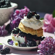 Blackberriy Shortcake