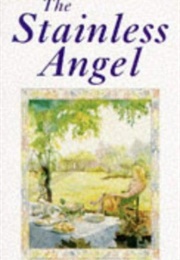 The Stainless Angel (Elizabeth Palmer)