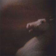 Tarentel - Looking for Things / Searching for Things