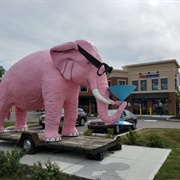 Martini-Drinking Pink Elephant
