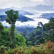 Mountains Within the Cloud Forest Near Mindo, Ecuador