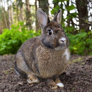 Milan State Wildlife Area