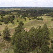 Nebraska National Forest