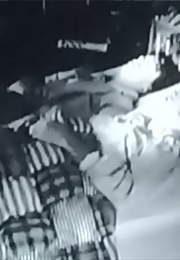 Foo Fighters Everlong (1997)