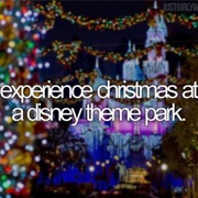 Spend Christmas at the Disney Park