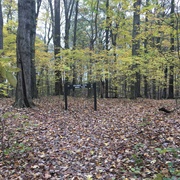 Knox Woods State Nature Preserve