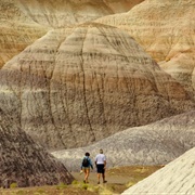 Petrified Forest National Park