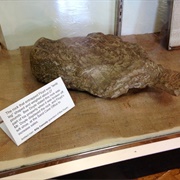 Floyd Collins Museum (Permanently Closed)