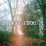 Plant a Tree