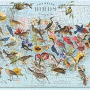USA State Birds (Galison)
