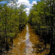 Big Cypress National Preserve