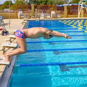 Dive Into Pool