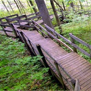 Collier State Nature Preserve