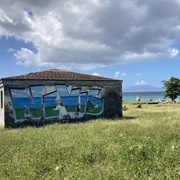 Nevis (St Kitts & Nevis)