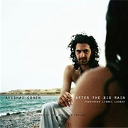After the Big Rain - Avishai Cohen
