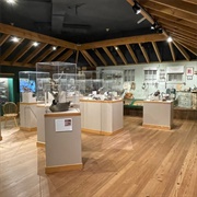 Ward Museum of Wildfowl Art