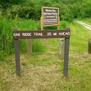 Mantua Bog State Nature Preserve