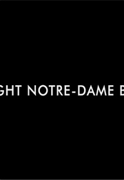 The Night Notre-Dame Burned (2020)