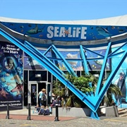 National Sealife Centre, Birmingham