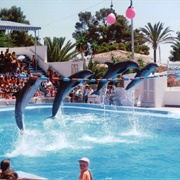 Marineland Majorca