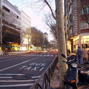 Calle De Serrano Madrid
