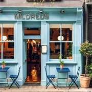Eat at Mildred's Veggie Restaurant