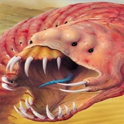The Mongolian Death Worm