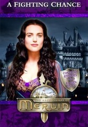 A Fighting Chance (Jacqueline Rayner)